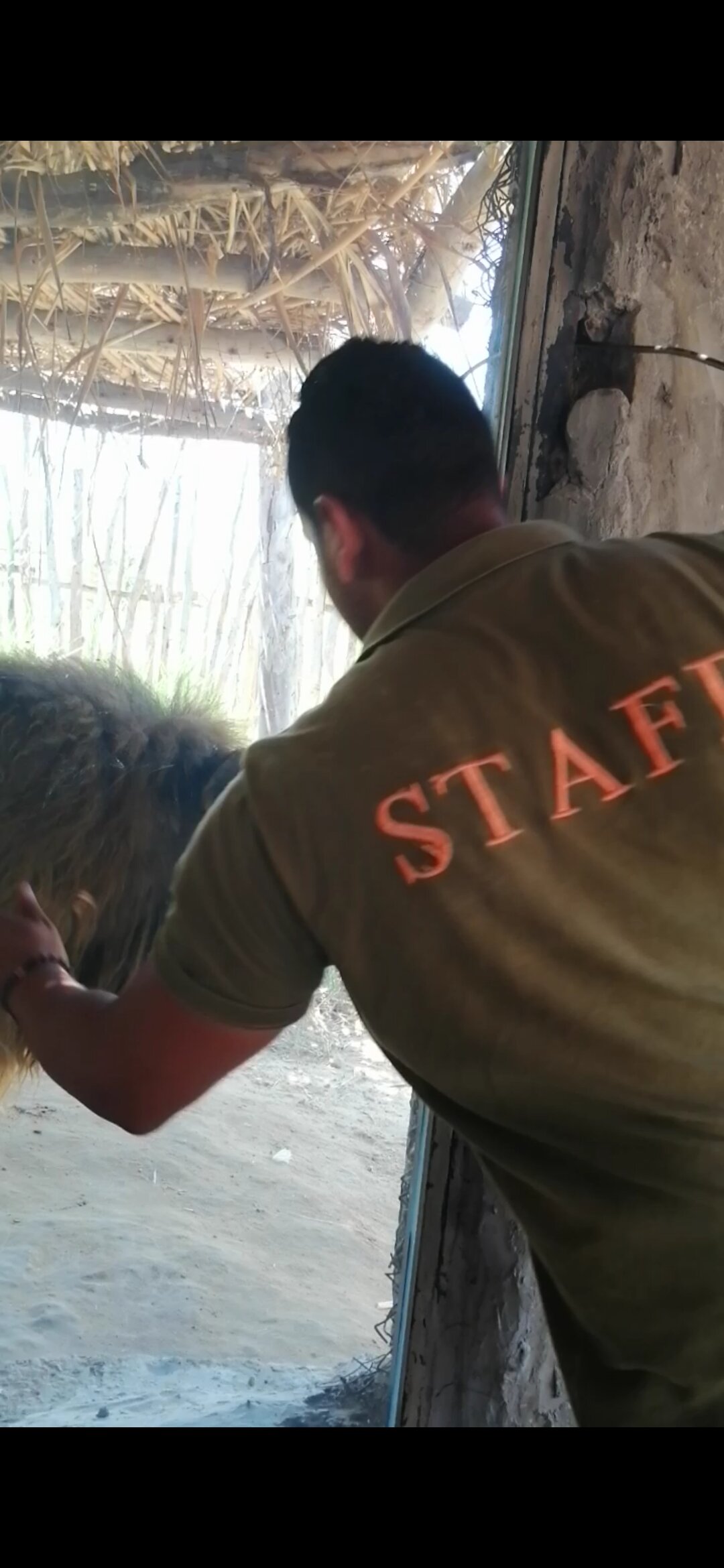 Africa Safari Park & Motel-官方