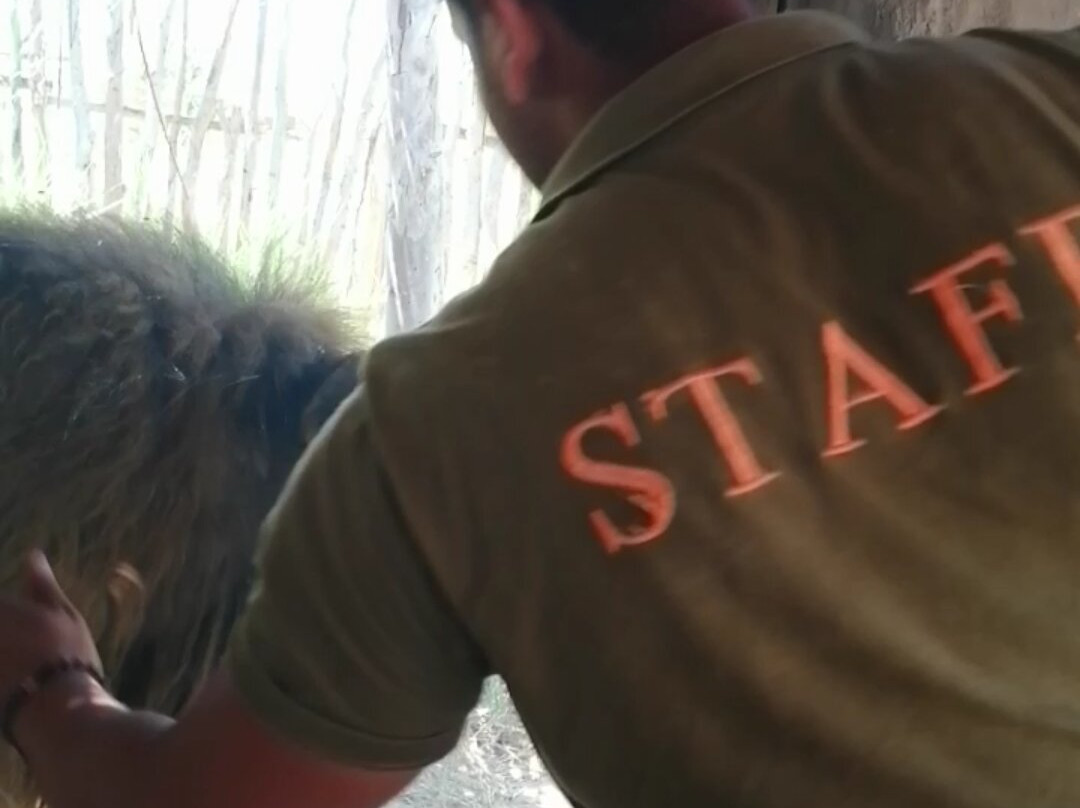 Africa Safari Park & Motel主图