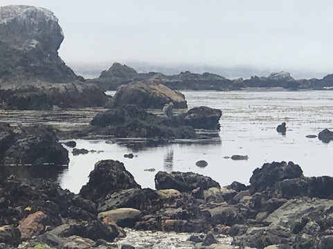 Estero Bluffs State Park-卡尤科斯必去景点