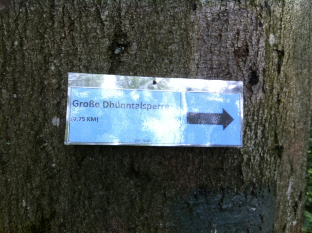 Große Dhünntalsperre景点图片