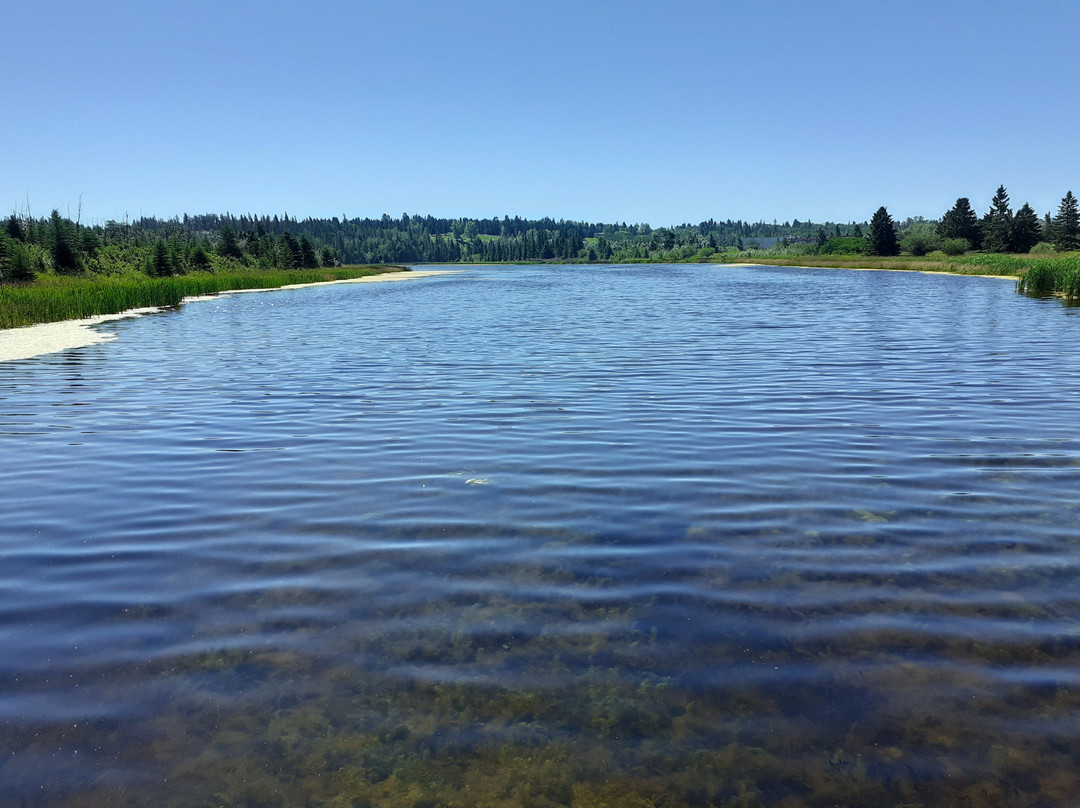 凯瑞伍德自然中心-红鹿市必去景点