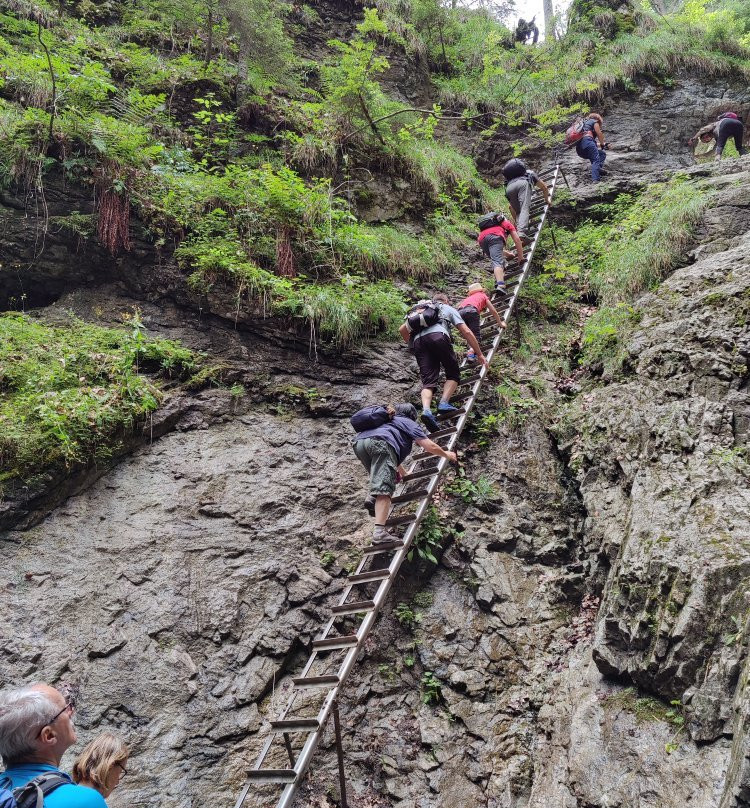 The Sucha Bela Canyon-Hrabusice必去景点