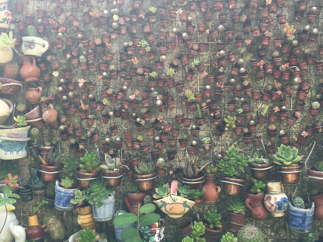 La Casa de los Cactus-Hervas必去景点