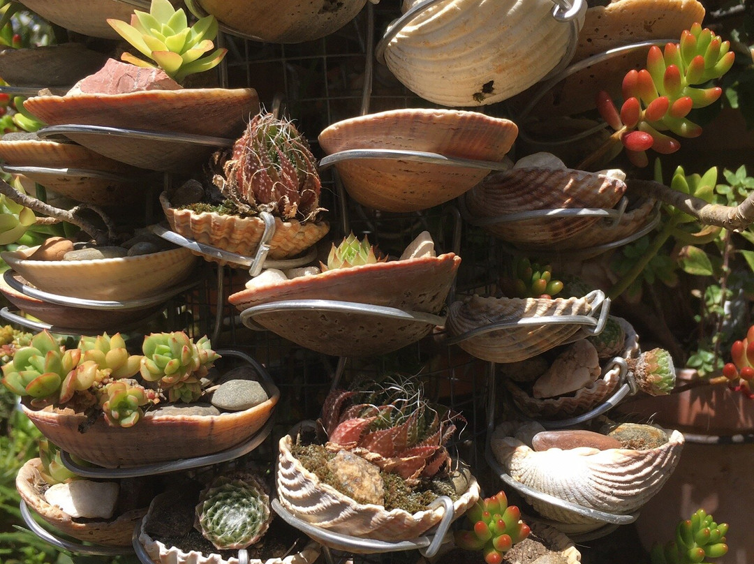 La Casa de los Cactus-Hervas必去景点