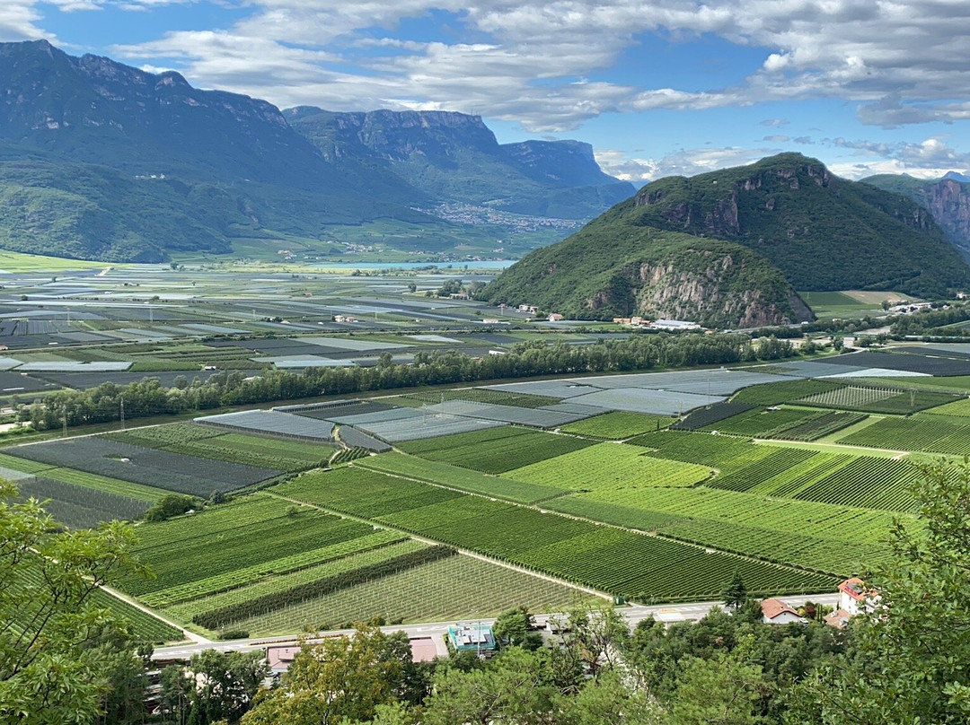 Biotopo Castelfeder景点图片