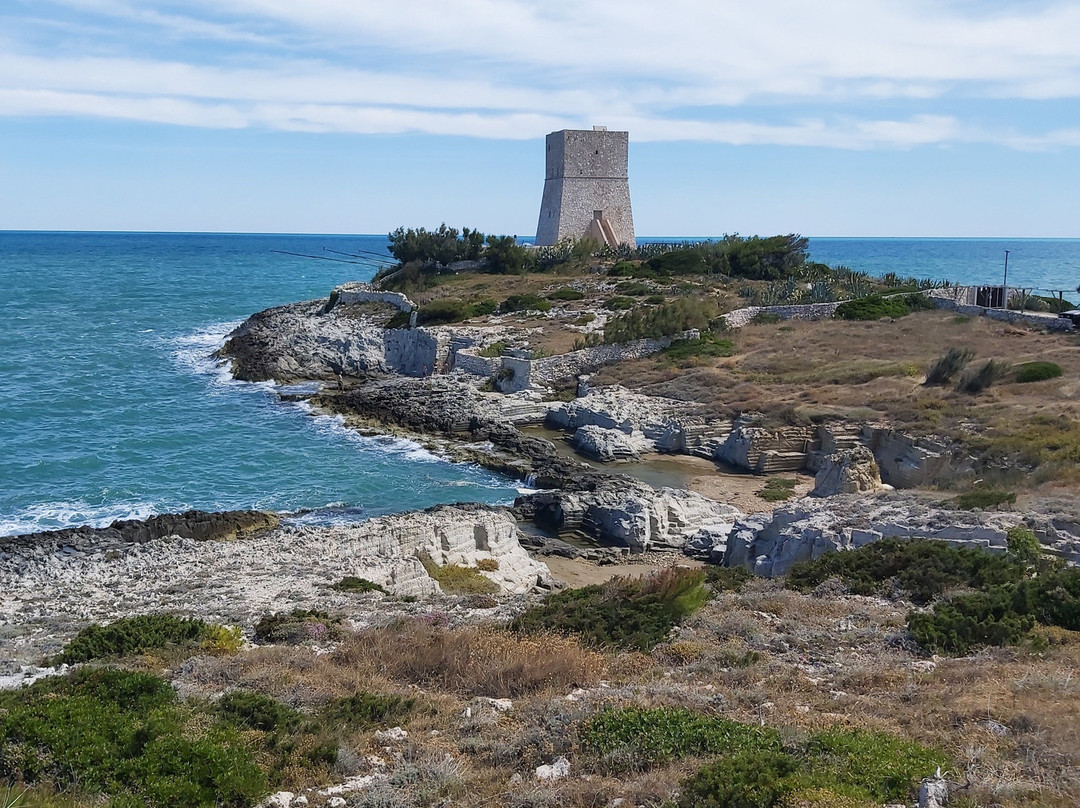 Torre di Porticello景点图片