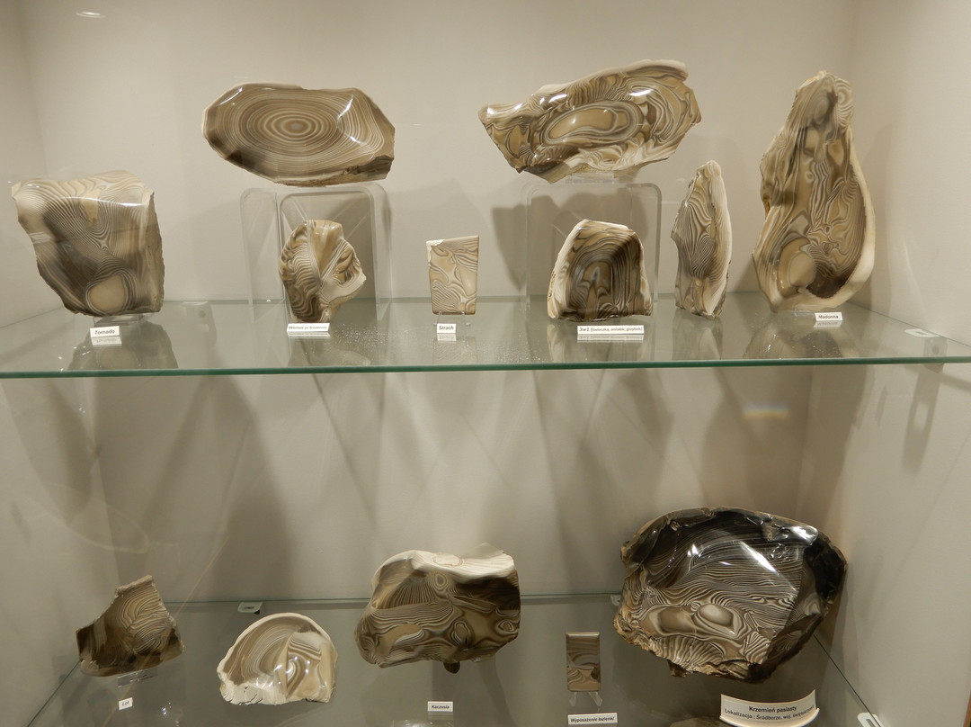 Museum of Minerals and Fossils-Swieta Katarzyna必去景点