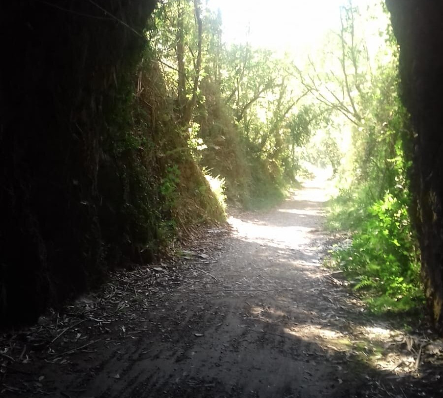 Ruta Del Ferrocarril-San Tirso de Abres必去景点