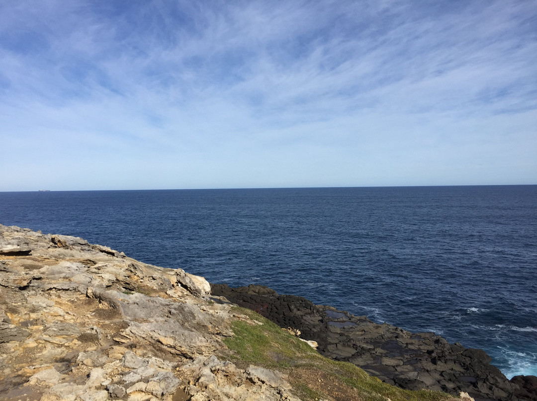 Discovery Bay Marine National Park-Cape Bridgewater必去景点