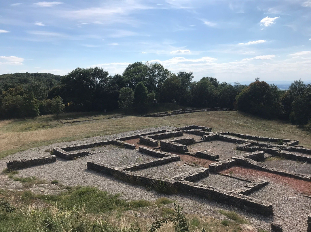 Site Archeologique Larina景点图片