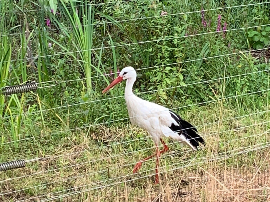 Hotel Am Wintergarten主图