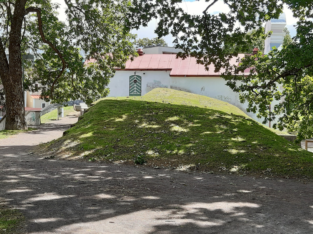 Vallikaar Playground景点图片