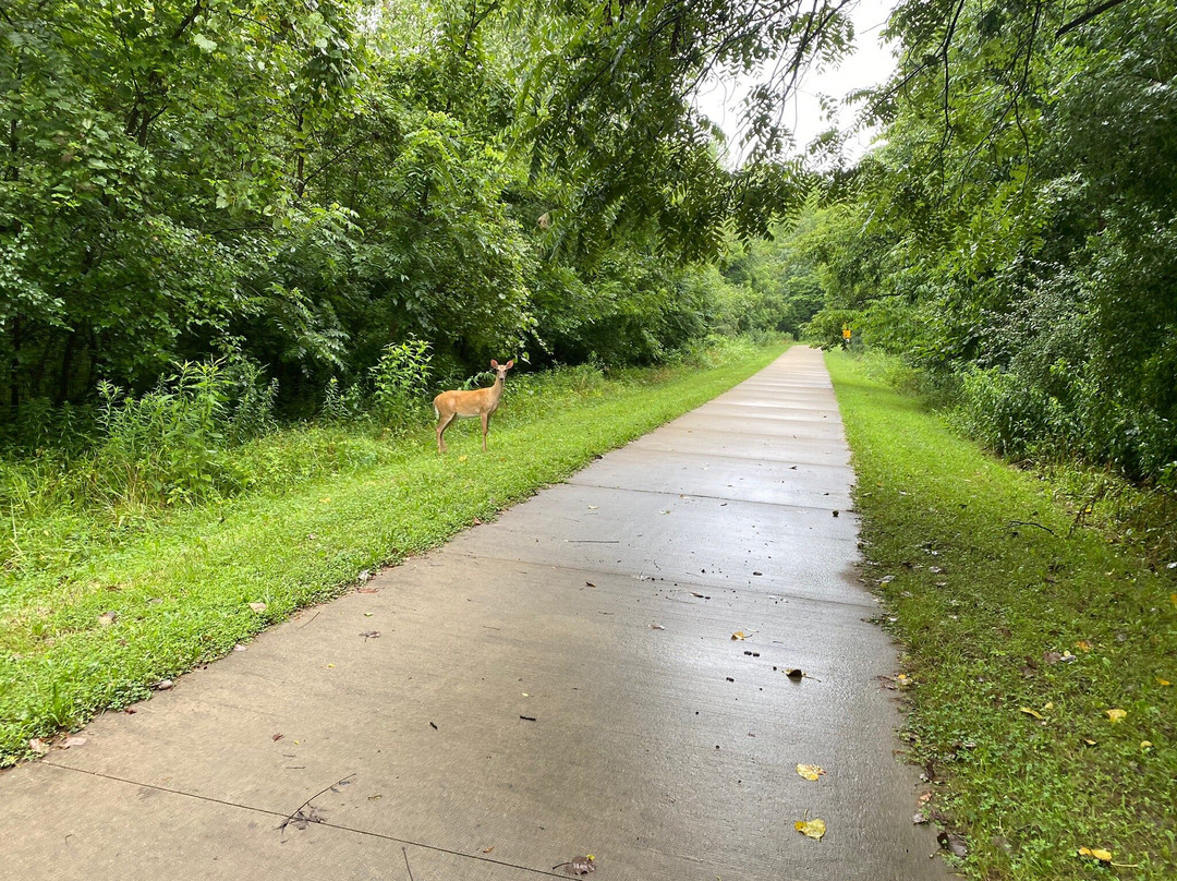 TREC Calico Trail-Effingham必去景点