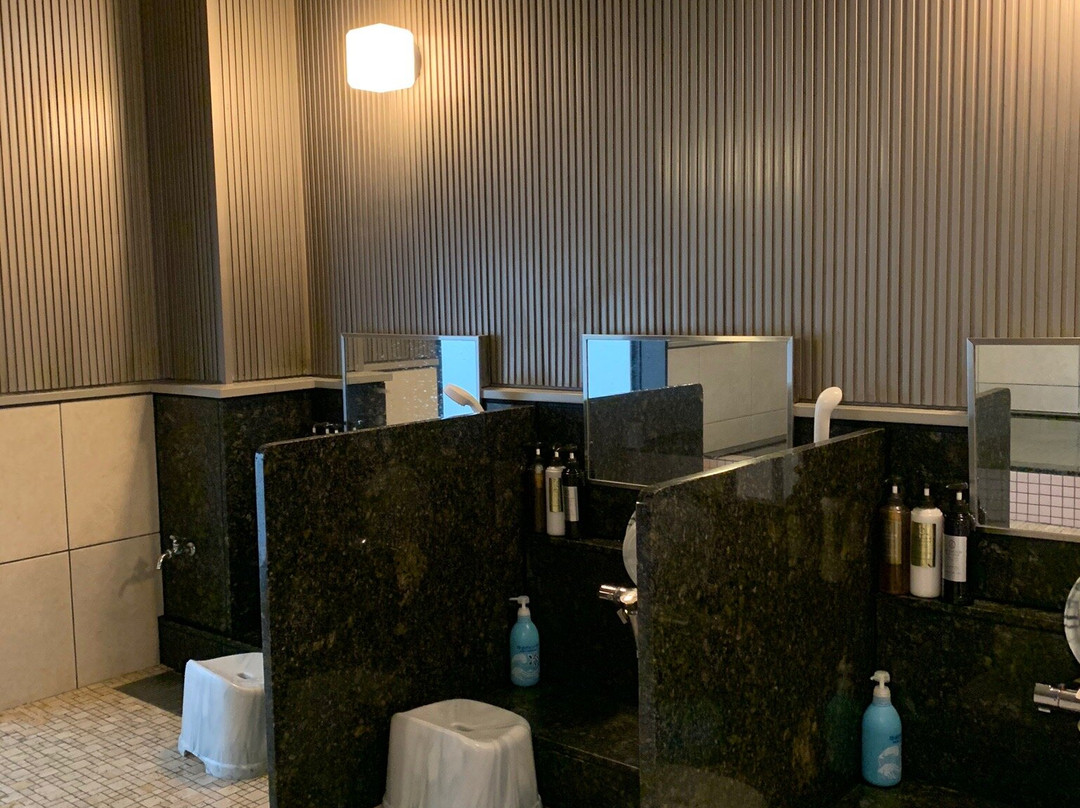 吴竹高级酒店静冈站前主图
