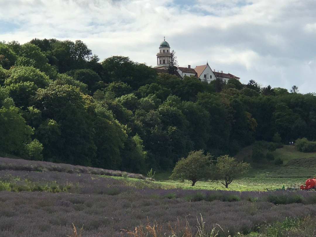 Pannonhalma Abbey Gardens and Herbal Lavender House-Pannonhalma必去景点