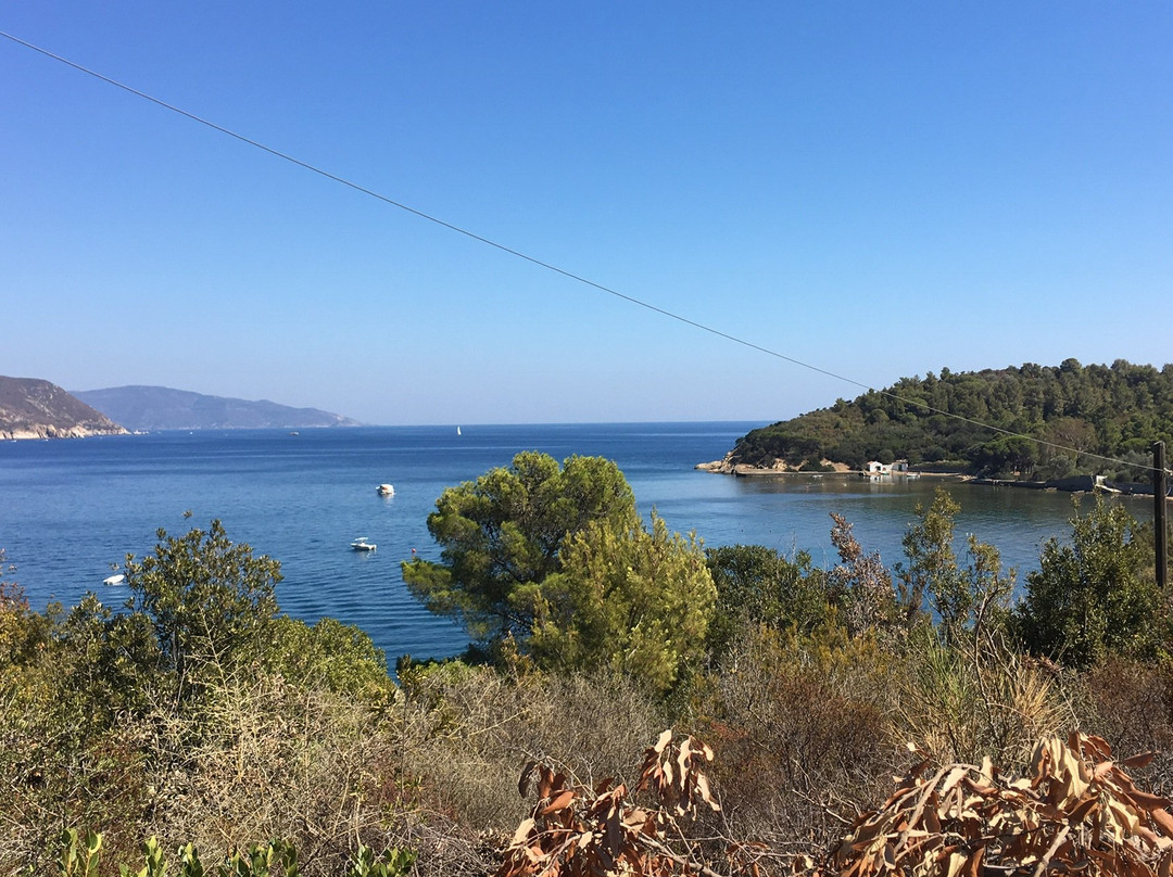 Spiaggia di Galenzana景点图片