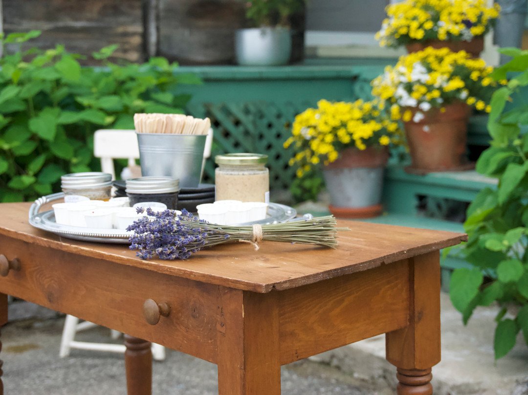 Zofa Excursions-魁北克市必去景点