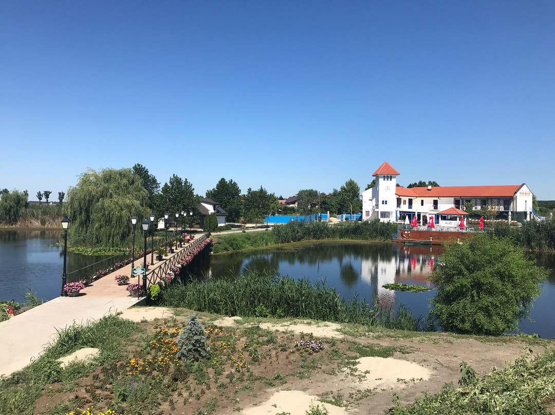 Comana Natural Park景点图片