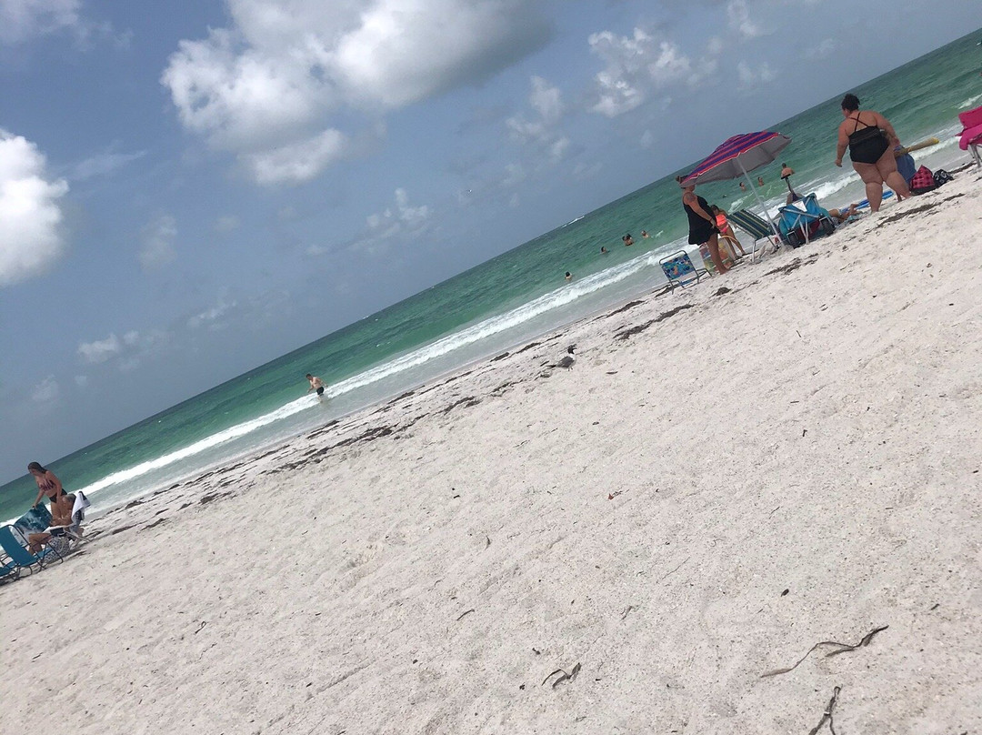 Manatee Public Beach景点图片
