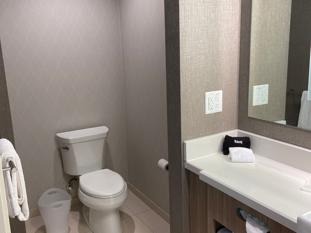 Springhill Suites By Marriott Springfield Southwest主图