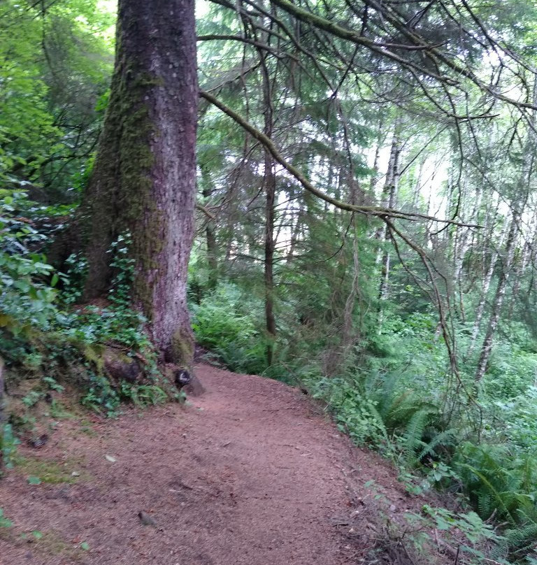 Crestline Park Woodland Trail-Waldport必去景点