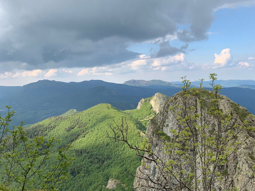 Monte Penna景点图片