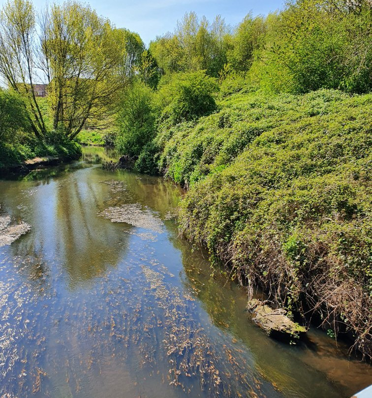 Lime Tree Woods-诺斯利必去景点