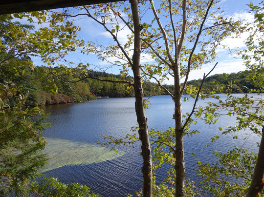 Pond Shirakoma-佐久穗町必去景点