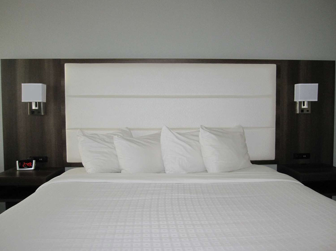 Best Western Plus First Coast Inn & Suites主图