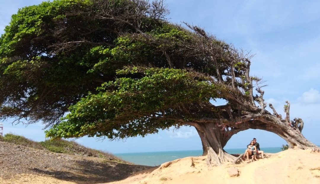 Pousada Casa Feliz主图