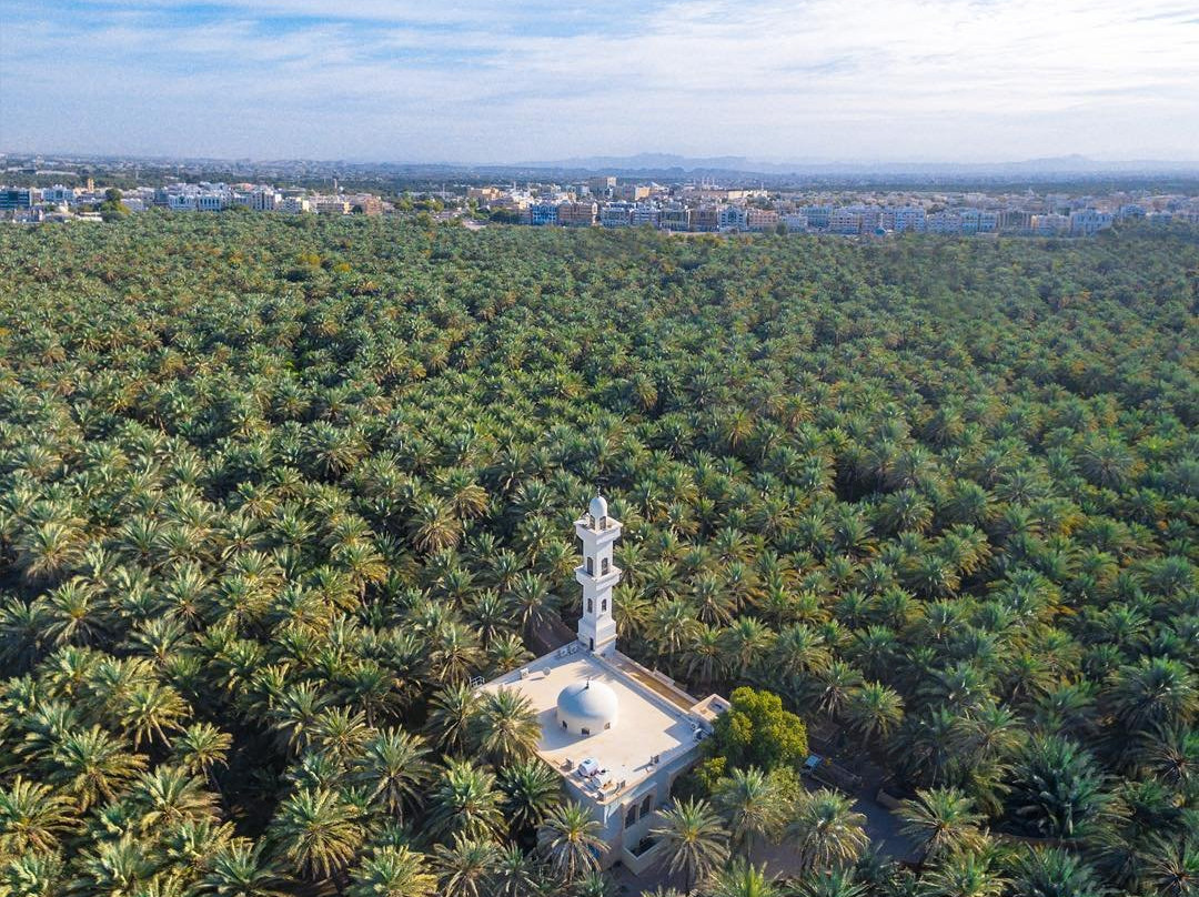 艾因绿洲-艾因市必去景点
