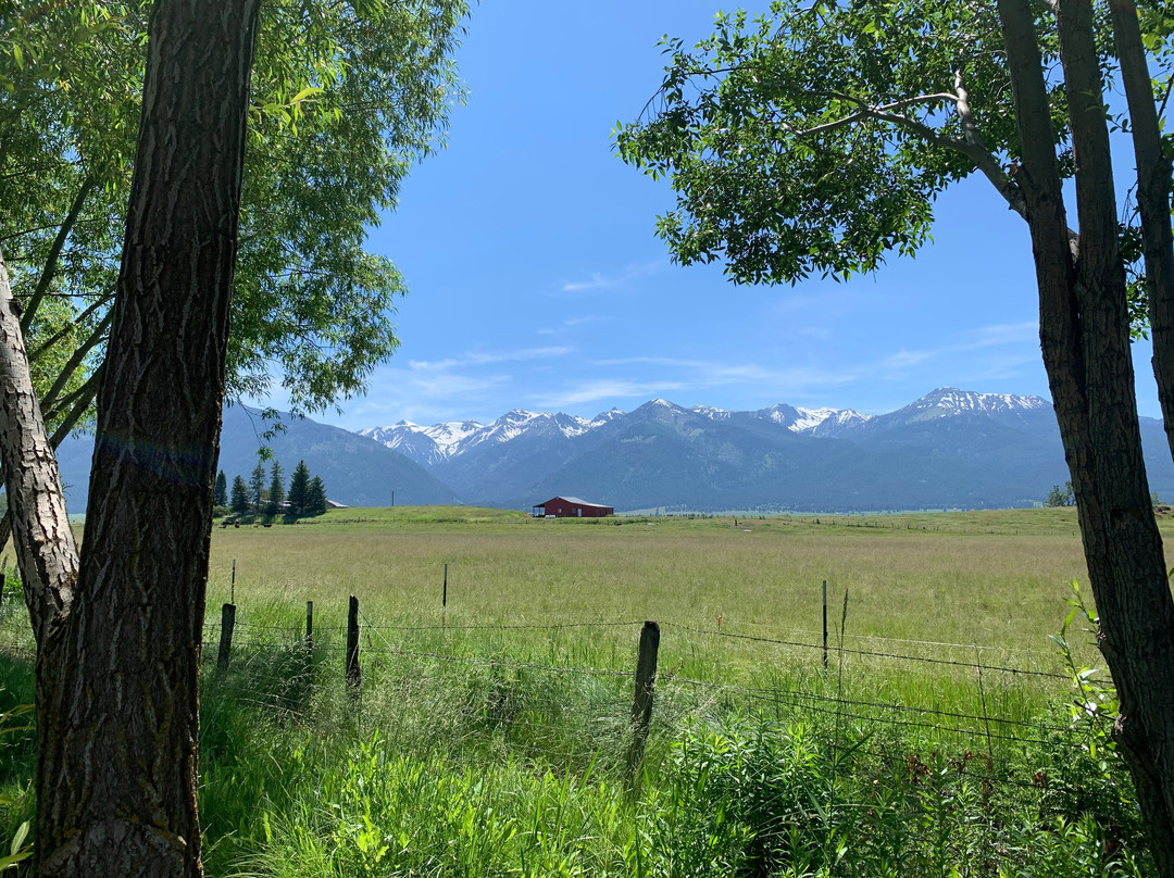 Mountain View Motel & Rv Park主图