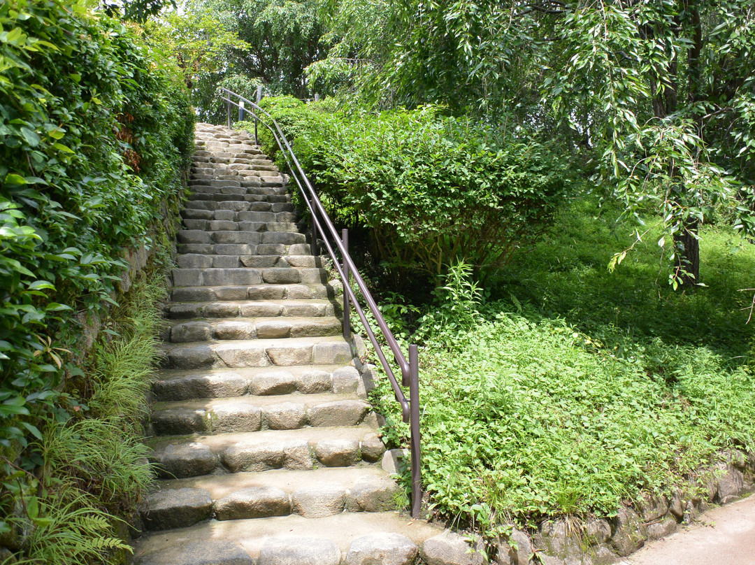 Omiwanomori Ｖiewingplatform-樱井市必去景点