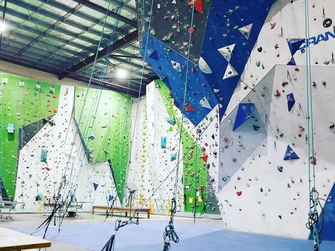 Crank Indoor Climbing-布里斯班必去景点
