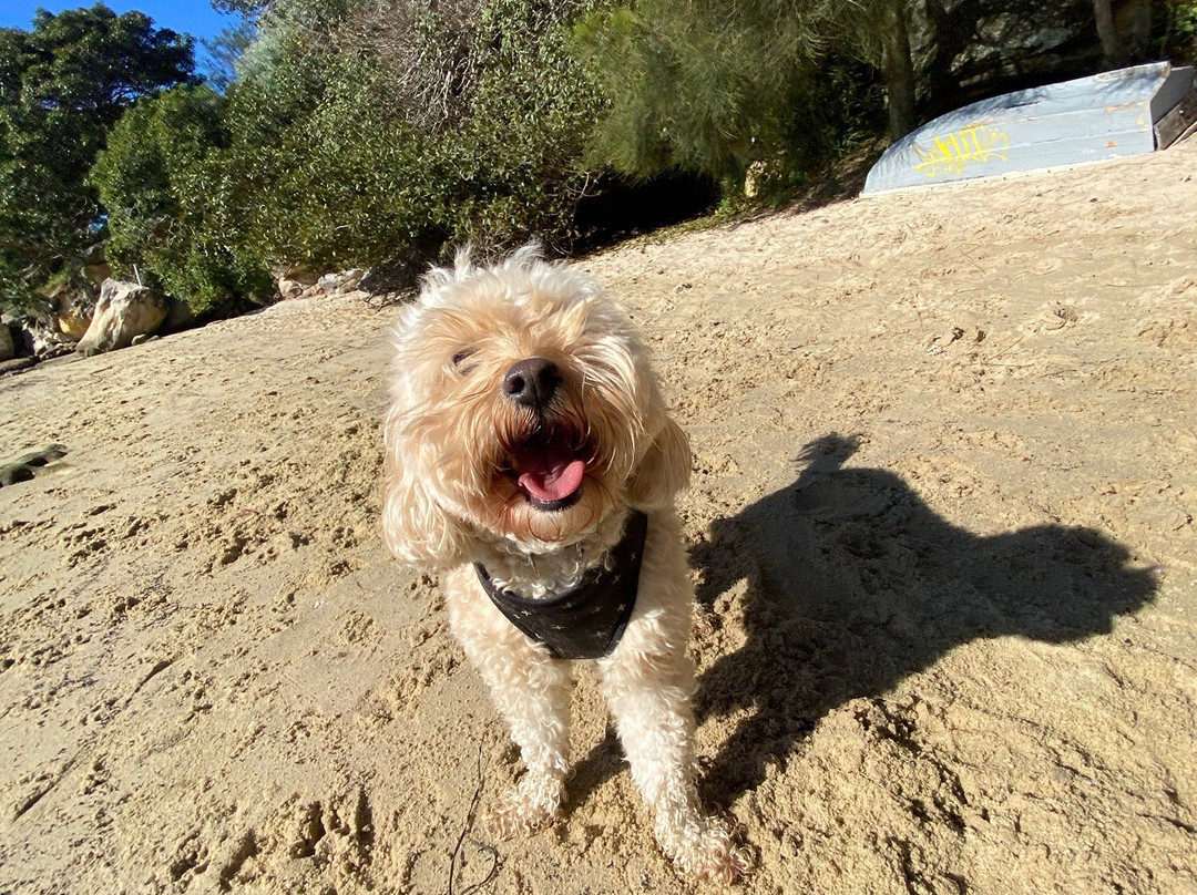 Callan Park-罗泽尔必去景点