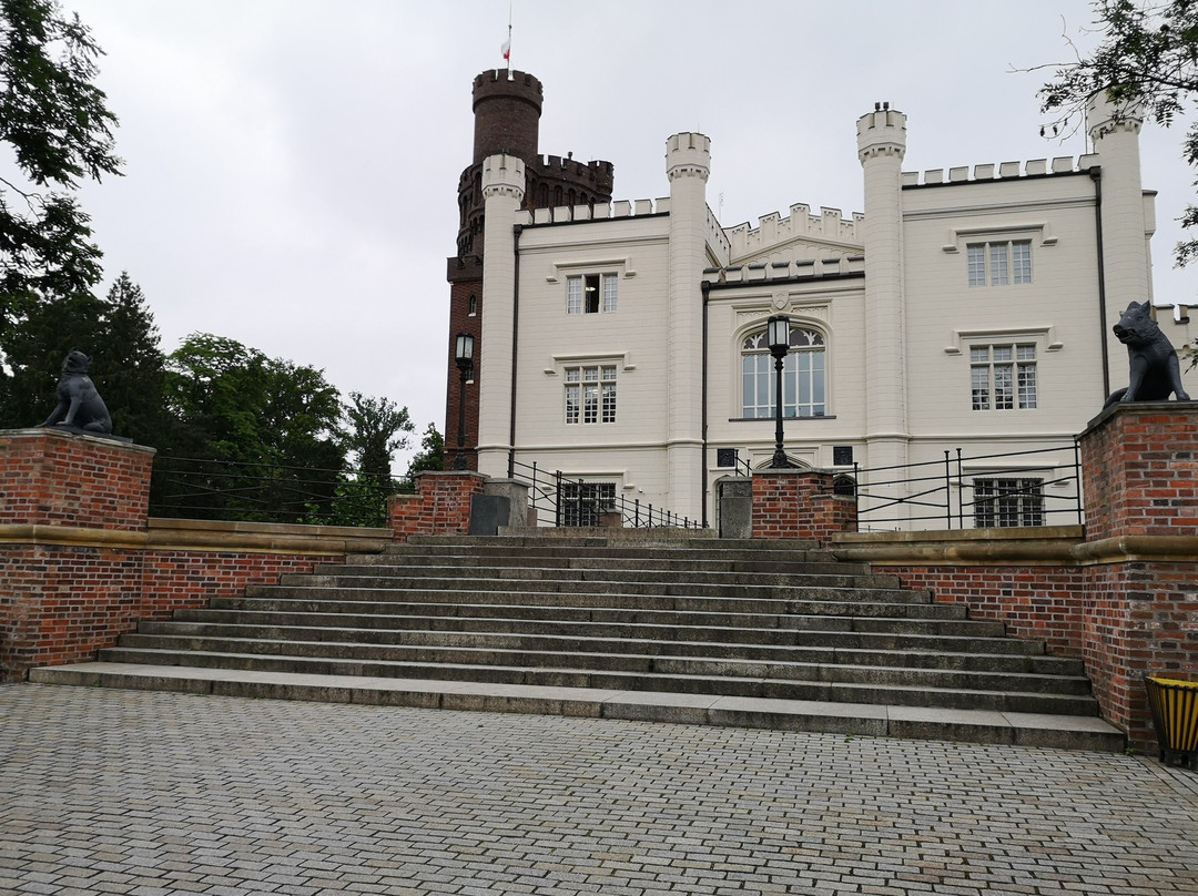 Kornik Castle景点图片