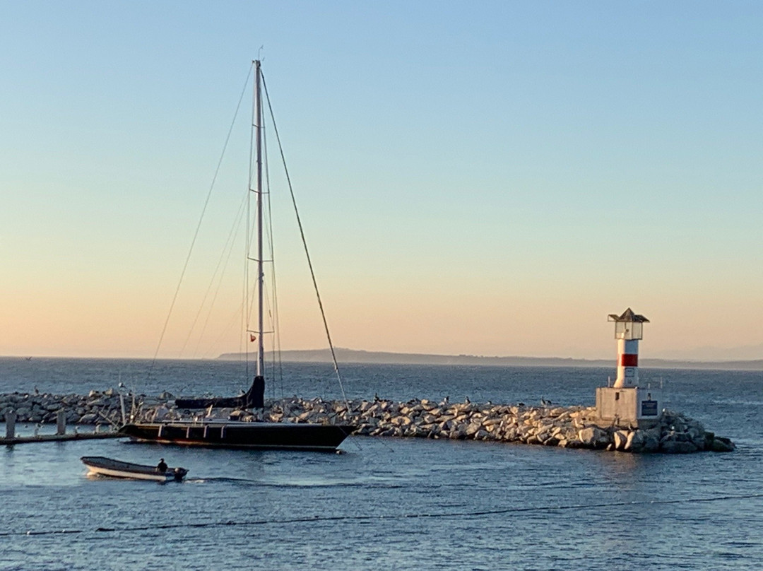 Caleta Higuerillas-比尼亚德尔马必去景点