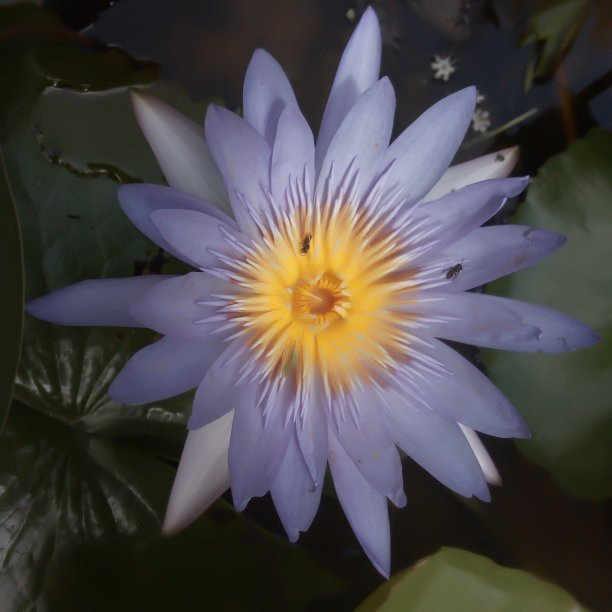 Toursrilankawb-埃勒必去景点