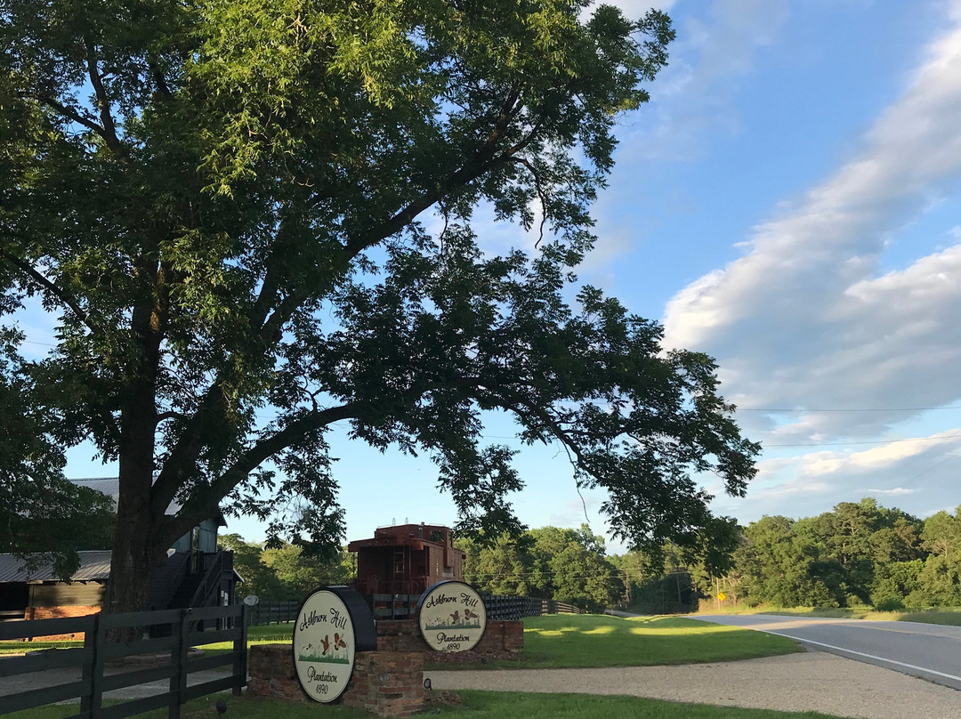 Ashburn Hill Plantation主图
