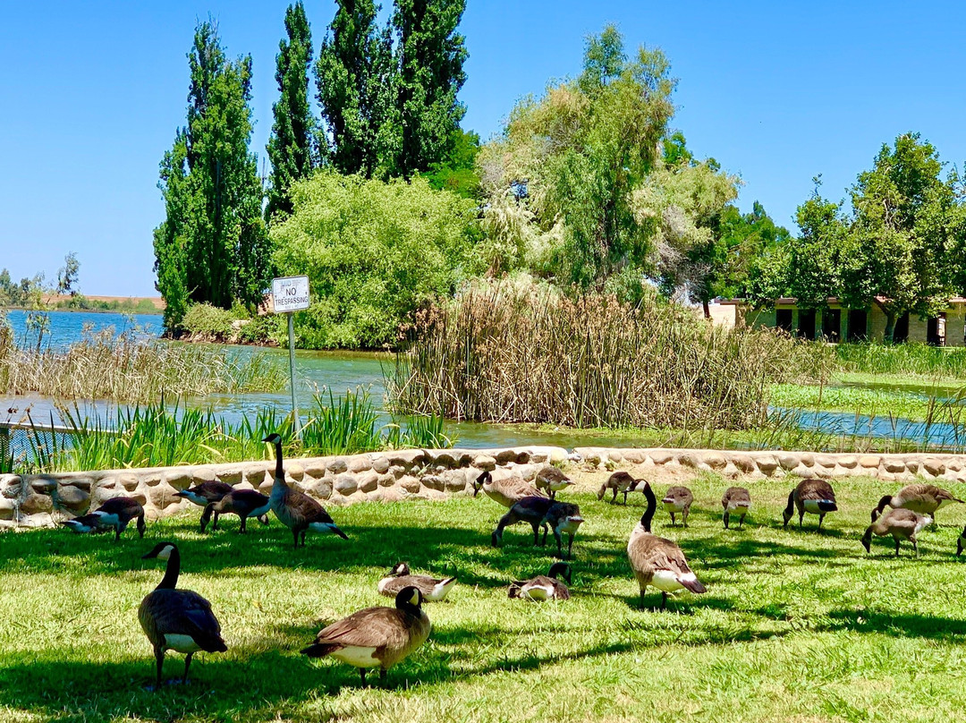 Lake Yosemite-默塞德必去景点