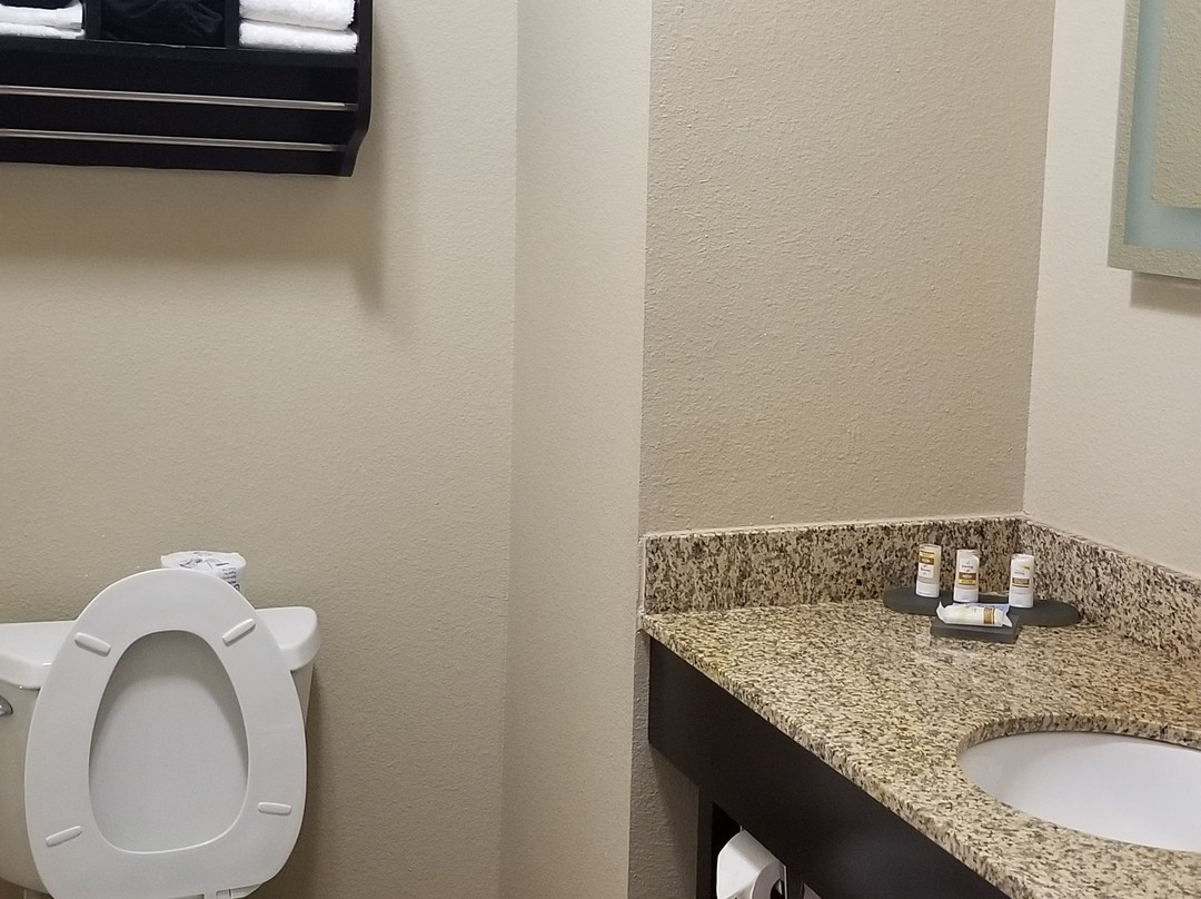 La Quinta Inn & Suites by Wyndham Knoxville Airport主图