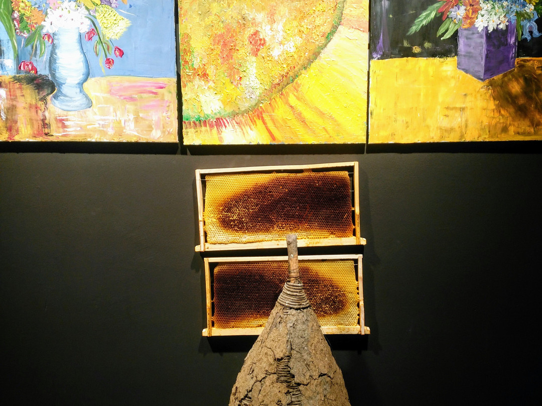 Galeria Qahili-普里什蒂纳必去景点