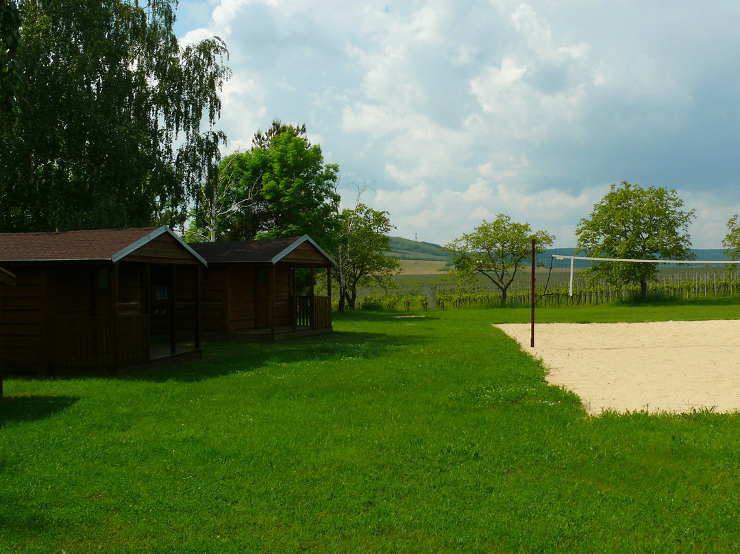 Markovy Vinné Sklepy景点图片