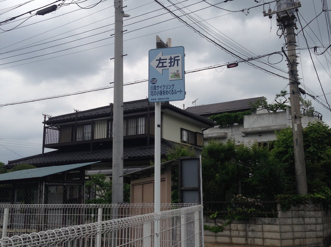 Wariiwa Bridge-饭能市必去景点