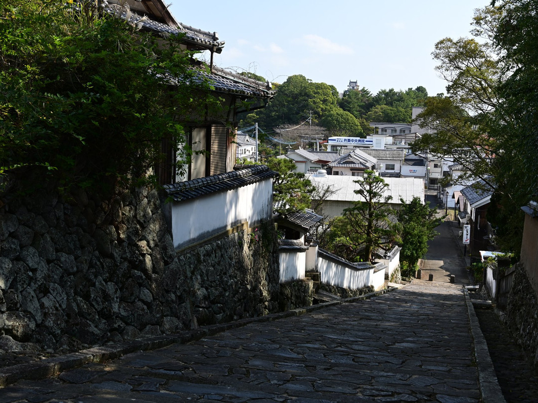 Kanjoba no Saka景点图片