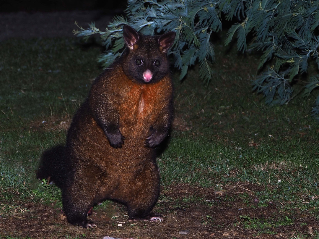 Mountain Valley Wilderness Holidays主图