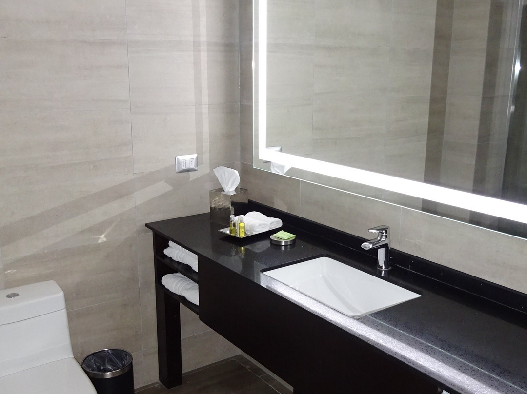 La Quinta by Wyndham Santiago Aeropuerto主图