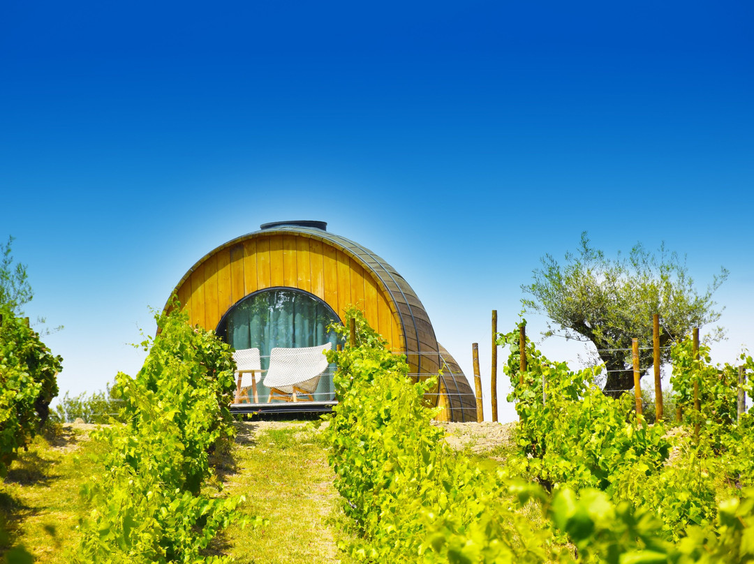 WinePor - Wine & Cultural Tours-波尔图必去景点