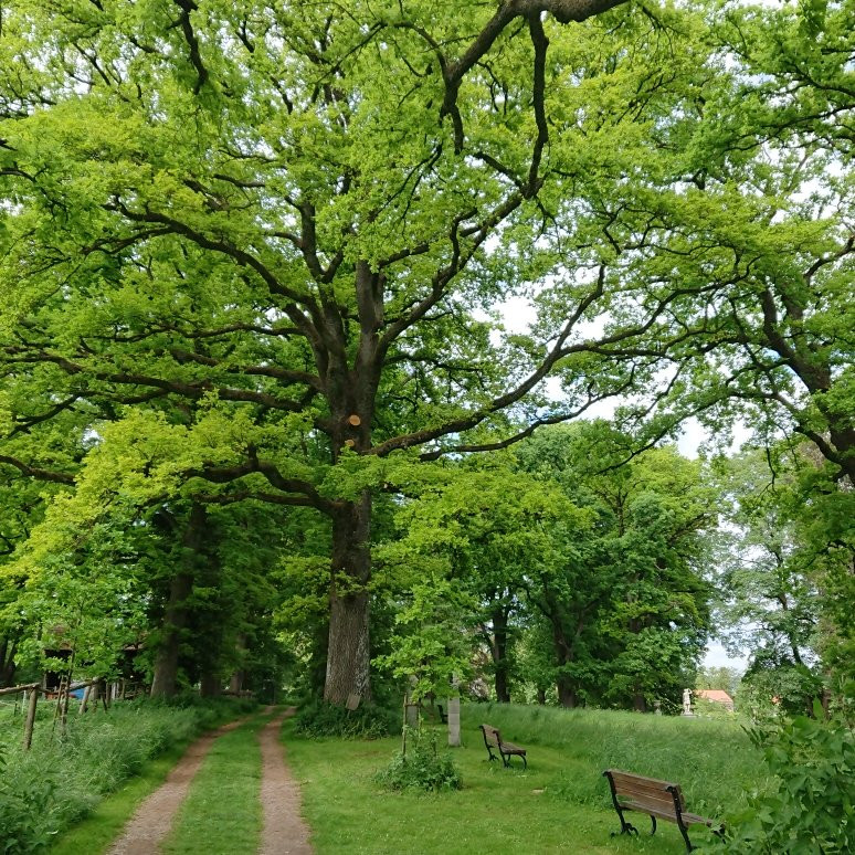 Schacky Park-Diessen必去景点