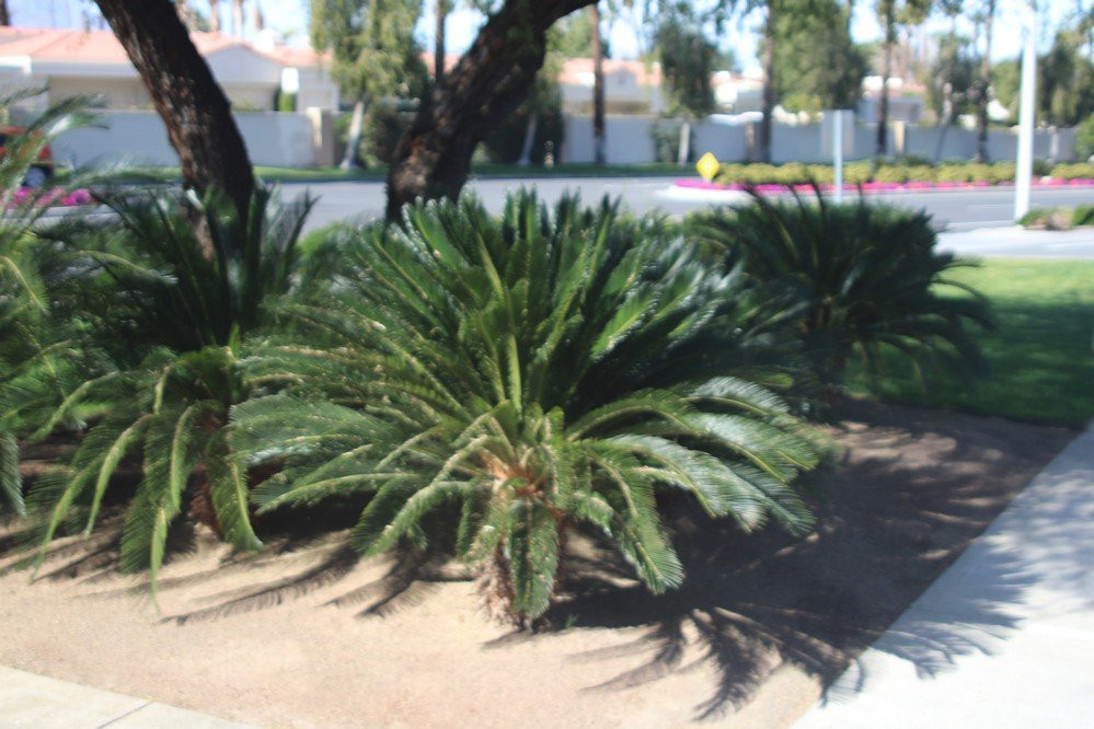 City Hall-印第安维尔斯必去景点